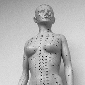 acupuncture point doll